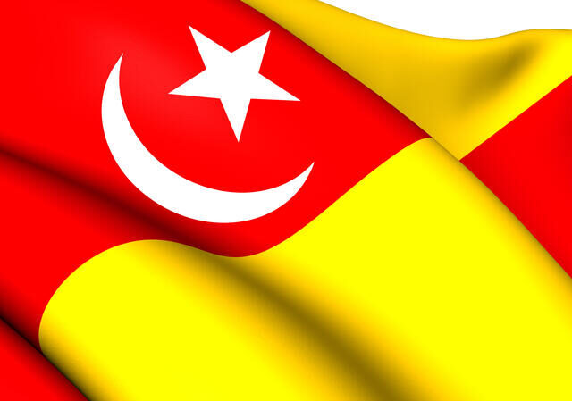 Selangor Flag
