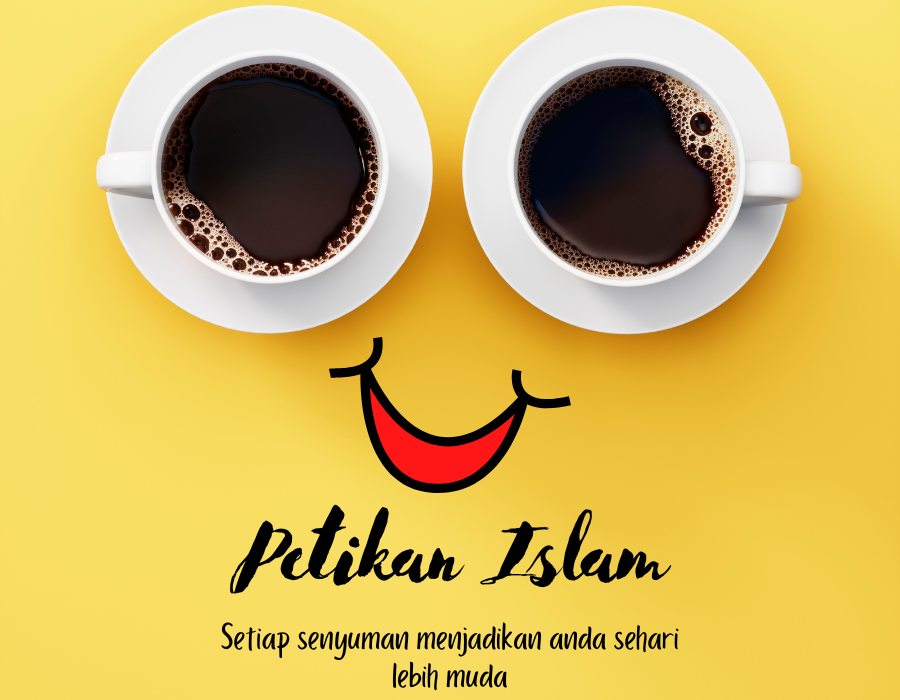 Petikan Islam