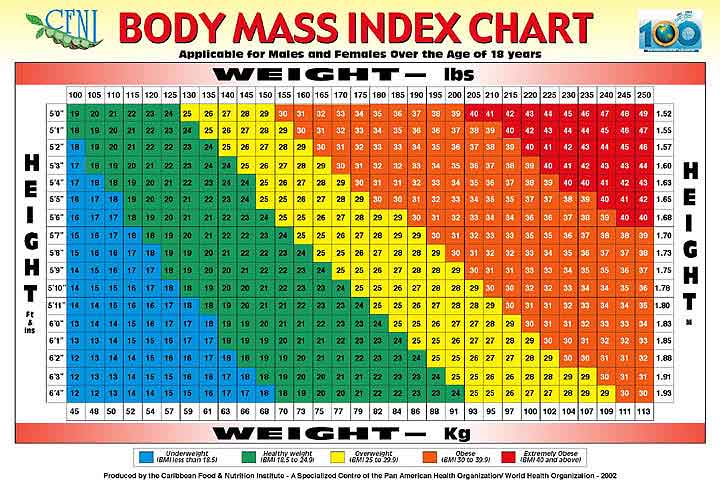 Cara Mengira BMI