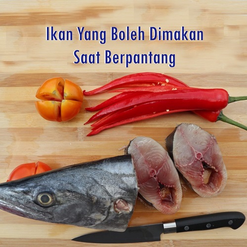 Ikan Boleh Makan Masa 